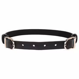 Sportsheets S&M Double Buckle Day Collar Black Adjustable Gold Detail
