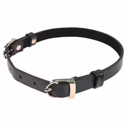 Sportsheets S&M Double Buckle Day Collar Black Adjustable Gold Detail