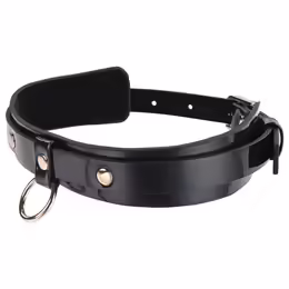 Sportsheets Orbit Day Collar Rainbow Faux Leather Adjustable 13.75-20.75in