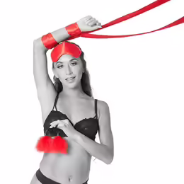 Sportsheets Sex & Mischief Amor Intro Bondage Set Satin Pink Edition