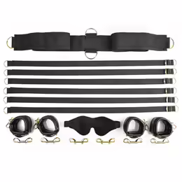 Sportsheets Under the Bed Restraint System Special Edition, 6 Points, Gold Hardware