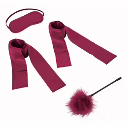 Sportsheets S&M Enchanted Burgundy Sensation Play Set Starter Kit