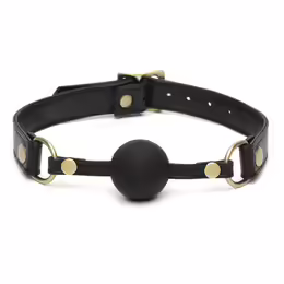 Fifty Shades of Grey Bound to You Adjustable Faux Leather Ball Gag