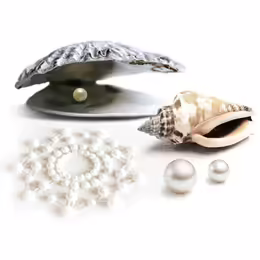 Bijoux Indiscrets Mimi Pearl Crystal Body Decoration Set 2 pcs