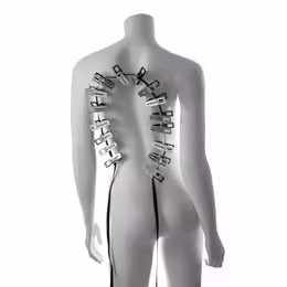 Edge Body Zipper Clothes Pins Silver щипки за тяло, 16 броя, 244 cm, сребрист