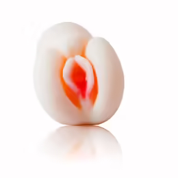 PASSION II Lady анатомична 3D интимна машина TPR 14,5 см
