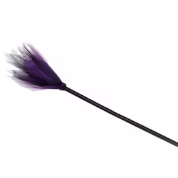 Sportsheets Starburst Tickler Violet 40 cm - Sensual Feather Accessory