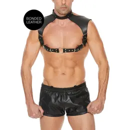 Rimba Leather Harness with Adjustable Collar - Universal Fit, Black