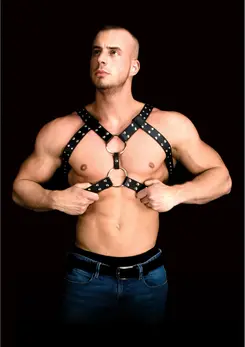 Andres Harness Model - Adjustable Bonded Leather Body System Black