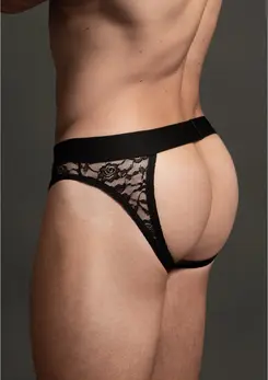 Dreamgirl Lace Open Back Brief S/M - Sheer Mid-Rise Intimate Panty