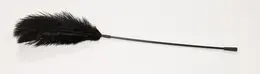 Bad Kitty Black Feather Wand 38cm - Elegant Touch Accessory