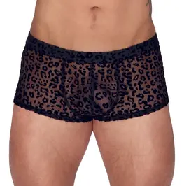 Noir Handmade M.Pants Leo 2XL - Transparent Powernet, Leopard Print
