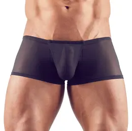 Svenjoyment Transparent Stretch Pants 2XL - Black, Swell Feature