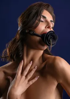 Taboom Dona Rose Ball Gag with Plug - Adjustable Silicone & Vegan Leather