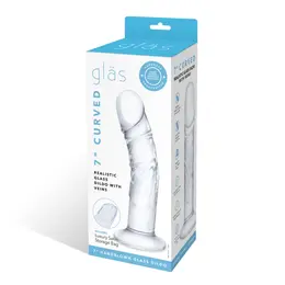 Glas Curved Glass Model with Vein Details 18cm - Transparent, Anatomical Shape