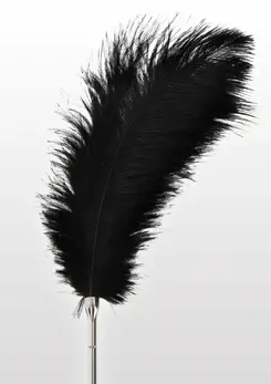 TABOOM Feather Tickler Elegant Nickel-Free Handle Black Feathers
