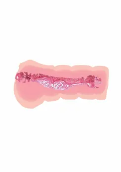 Hidden Desire Super Wet Travel Beaver Compact Intimate Device TPR