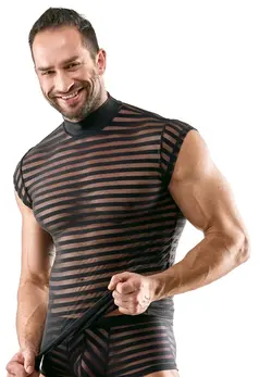 Svenjoyment Shirt 2XL Black Transparent Striped, Stand-Up Collar