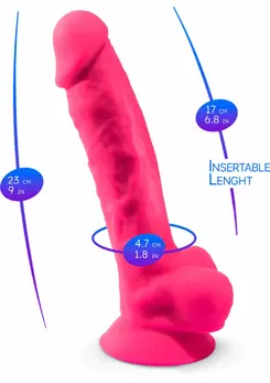 Silex-D Model 1 9