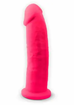 Silex-D Model 2 9