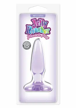 Jelly Rancher Pleasure Plug Mini - Compact Tapered Silicone Model