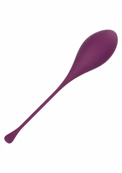 CalExotics Kegel Training 5-Piece Set - Progressive Pelvic Floor System