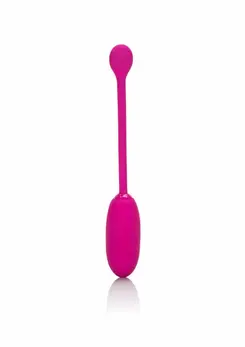 CalExotics Rechargeable Kegel Ball Advanced Silicone 12 Modes Purple