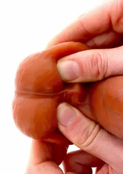 ToyJoy Get Real Skin Silicone Intimate Model with Movable Foreskin 20 cm