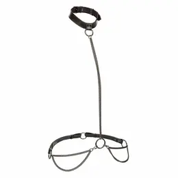 CalExotics Euphoria Chain Halter & Leash Plus Size - Velvet & Vegan Leather
