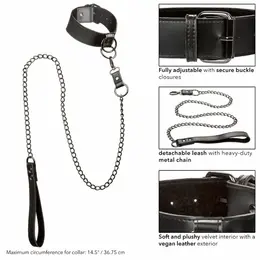 CalExotics Euphoria Adjustable Collar with Detachable Metal Chain, Black
