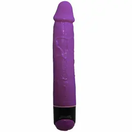 Baile Colorful Lilac Vibrator 23.3cm Adjustable Multi-Speed TPR