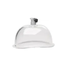 XR Brands Vagina Cylinder Large - Transparent Acrylic Anatomical Cup