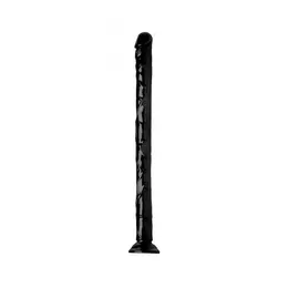 XR Brands Realistic Snake Model 19 Black 48cm Anatomical System