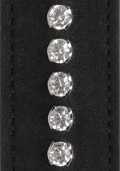 Shots Diamond Series Adjustable Collar with Leash, Black, Studded Design