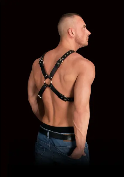 Adonis High Halter Harness - Adjustable Bonded Leather Chest System