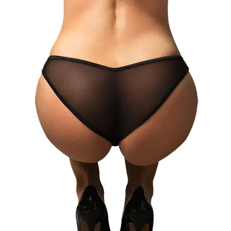 Obsessive Donarella Briefs XS/S Black Embroidered Transparent Soft Fit