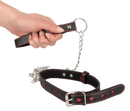 Bad Kitty Adjustable Black & Red Collar with Leash Set 35-48 cm