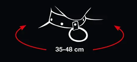 Bad Kitty Adjustable Black & Red Collar with Leash Set 35-48 cm