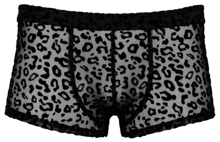 Noir Handmade M.Pants Leo 2XL - Transparent Powernet, Leopard Print