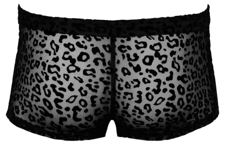 Noir Handmade M.Pants Leo 2XL - Transparent Powernet, Leopard Print