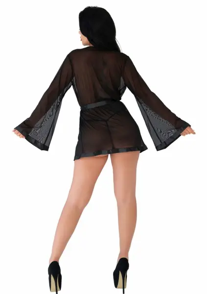 Obsessive Sheer Kimono and String Set Black Mesh Lace Trim L/XL