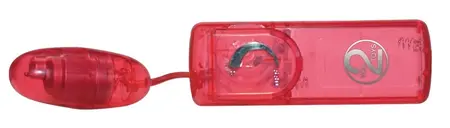 You2Toys Red Roses 9-Piece Set - Multi-Functional Intimate Kit