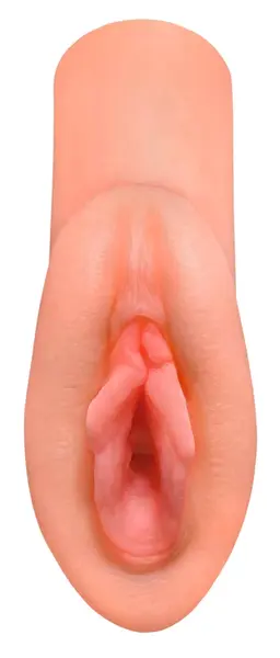 PDX Plus Dream Stroker Intimate Machine Fanta Flesh 14.8 cm TPR