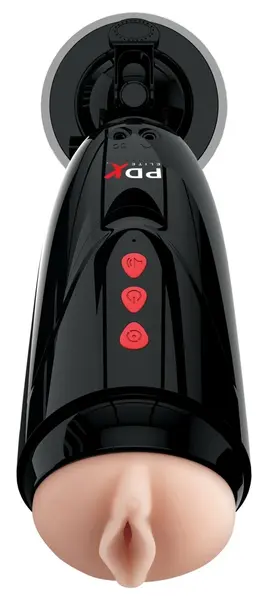 Pipedream Extreme Dirty Talk Starter Intimate Device 10-Mode Black 17.8 cm