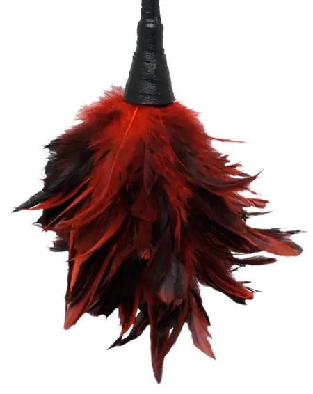 FFS Frisky Feather Duster Intimate Sensation Tool 35.6 cm Black