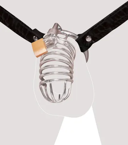 FFE Stainless Steel Chastity System with Adjustable Leather Waist Harness