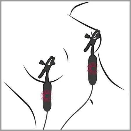 FFS Adjustable Vibrating Nipple Clamps with Remote Control, Silver-Black