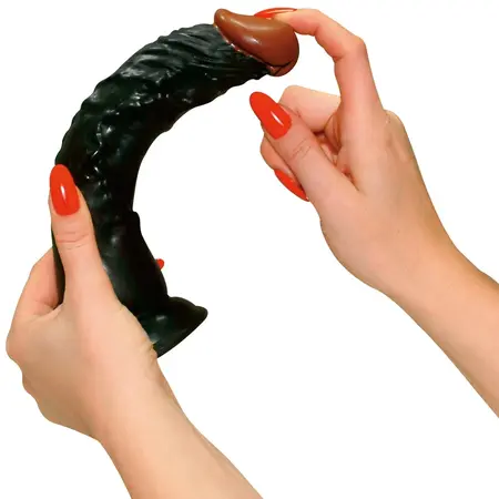 You2Toys European Lover 23 cm Anatomical Model with Suction Cup, PVC