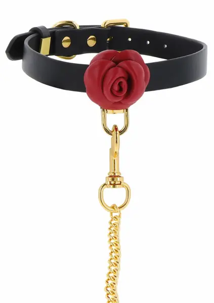 TABOOM Wild Roses Collar & Leash Set - Faux Leather, Decorative Rose