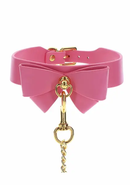 Taboom Malibu Collar and Leash Pink Vegan Leather Gold Details